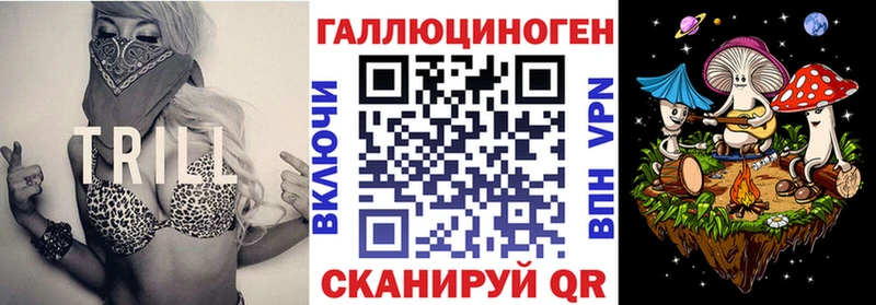 Псилоцибиновые грибы Psilocybe  Дербент 