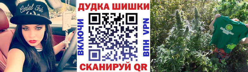 где купить наркотик Дербент Каннабис Amnesia